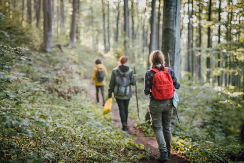 friends hiking