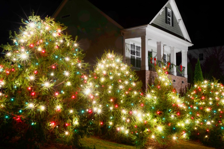 Christmas tree house front