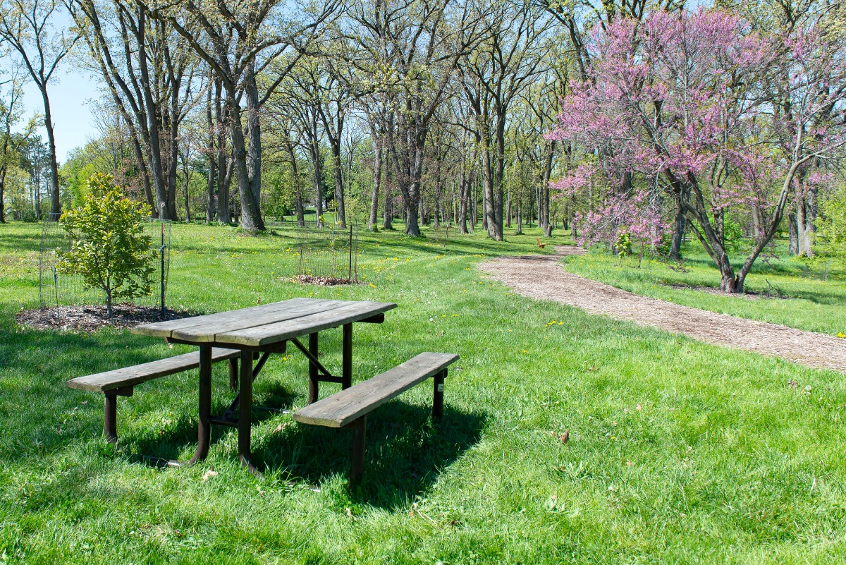 picnic ground