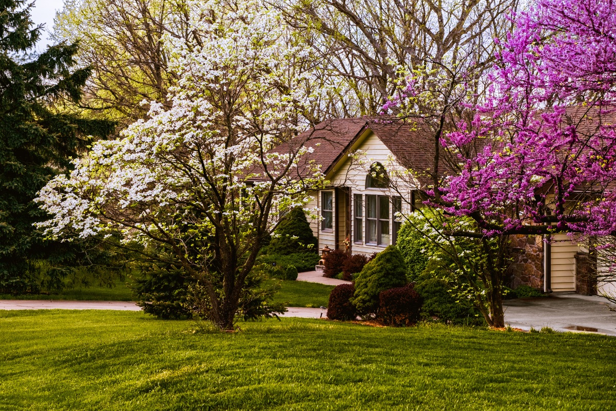 house when spring comes
